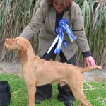 Amiryck Sabik at Barcutan - First NZ Champion HWV